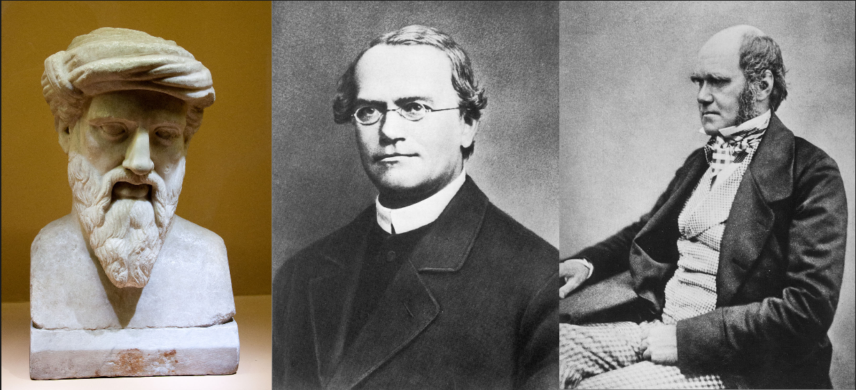 Pythagoras, Mendel, Darwin