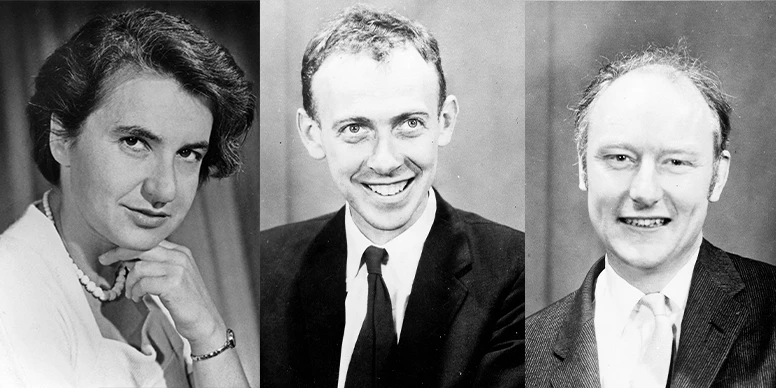Fig-3 Rosalind Franklin, Watson, Crick